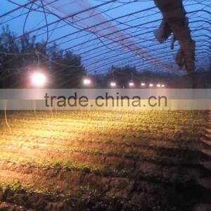 China Grow Light Full Spectrum 100w Grow Lamps for Greenhouse thumbnail-6
