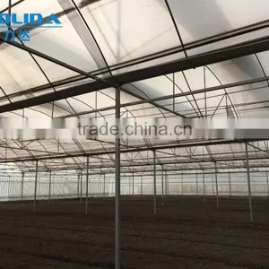 BaoLiDa Multi-span Poly Carbonate PC Agriculture Commercial Greenhouse thumbnail-1
