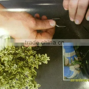 100G/M2 Weed Mats / PP Woven Fabrics thumbnail-6