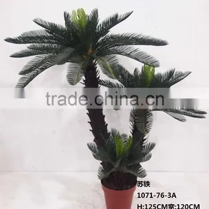 1071-32 Plastic Pot Cycads Tree thumbnail-6