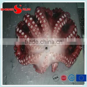 Frozen Flowered Baby Octopus thumbnail-4