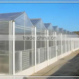 Customized Venlo Polycarbonate Greenhouse for Windy and Snowy Area thumbnail-1