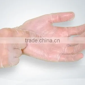 Factory Manufactured Disposable Vinyl Gloves thumbnail-4