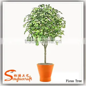 Guangzhou Supplier Artificial Ficus Tree Home Decoration Artificial Ficus Tree thumbnail-2