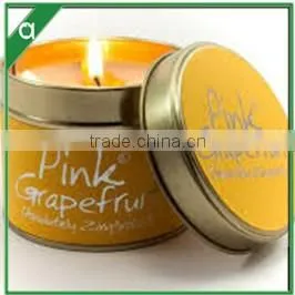 Apple Aroma Jar Type and Scented Feature Custom Glass Jar Candles for Home Decoration thumbnail-1