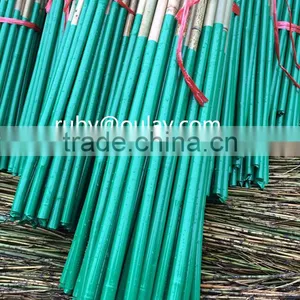 Plastic Coated Natural Garden Bamboo Canes thumbnail-1