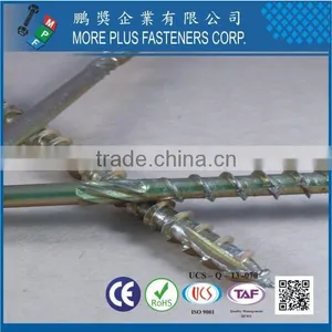Taiwan Round Washer Head Torx Drive Serration Shank One Thread Notch Type-17 Point ZYCR3+ Timber Screw thumbnail-5
