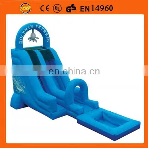 Dolphin Inflatable Water Slide With Pool ,inflatable Slide for Water Use thumbnail-1