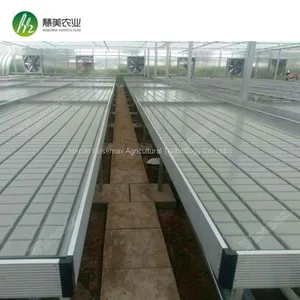 Aluminum Frame With Hot Galvanized Greenhouse Ebb and Flow Rolling Bench thumbnail-3