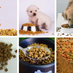 Pet Food Plant for Dog and Cat Food Making thumbnail-4