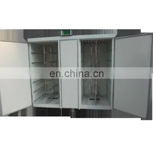 Commercial Cheap Bean Sprout Machine / Vegetable Sprout Machine thumbnail-1