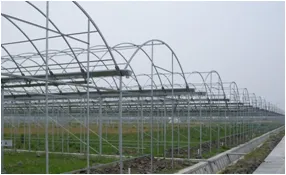 Roof & Side Opening Greenhouse With PO Film Covering thumbnail-2