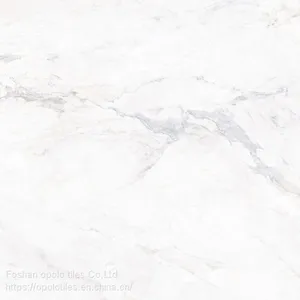 Fullbody Tiles / Glazed Tiles 800X800 thumbnail-2