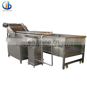 Potato or Apple Vegetable and Fruit Washing Machines,/ Ozone Fruit and Vegetable Washer thumbnail-4