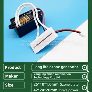 12V-100mg Ozone Generator 37*15mm Ozone Plate Air Purification and Disinfection thumbnail-4
