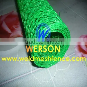 Chicken Wire thumbnail-6