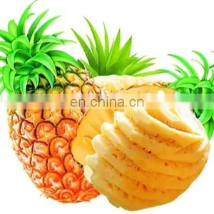 Automatic Pumpkin Peeling Machine / Peeling Machine For Melon and Watermelon thumbnail-1