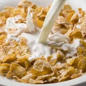 High Quality New Condition Small Scale Corn Flakes/Breakfast Cereal Making Machine thumbnail-1