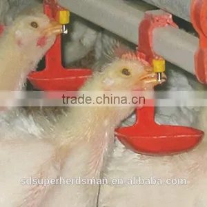 Poultry Drinkers for Chicken thumbnail-1