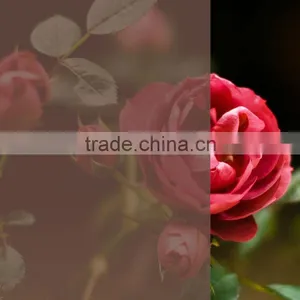 Film Heat Resistant Tea Coloured Plastic Anti Scratch Film thumbnail-1
