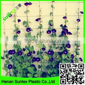 Heavy Duty Long-lasting Trellis Netting Squares Plant Support Mesh thumbnail-1