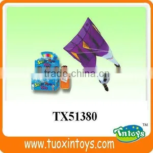 the Chinese Promotional Pocket Kite Factory thumbnail-5