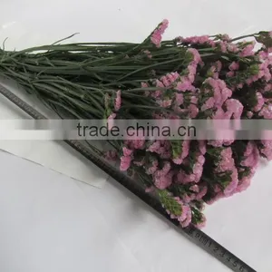 Colorful Hot Sale Decorative Supplies Myosotis thumbnail-6