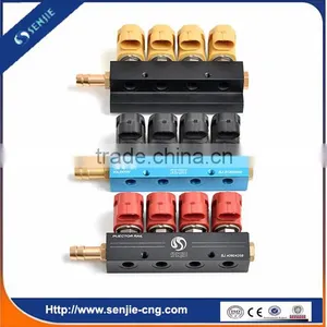 High Quality Cng Injector Rail Nozzle for Cars thumbnail-5