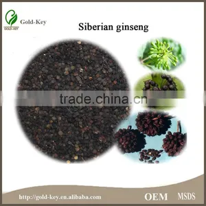 8%-15% Eleutheroside Natural Siberian Ginseng Extract thumbnail-6