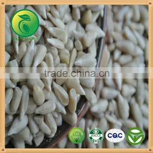 Bakery Sunflower Kernels no Shell Edible Directly thumbnail-1