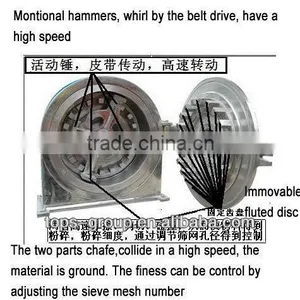 SS304 Granular Grinding Machine thumbnail-5