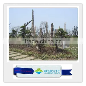 Simulation Plant Siliciffied Wood thumbnail-3