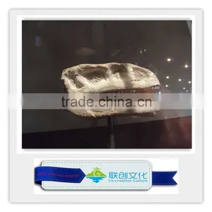 Lufengosaurus Children Park Dinosaur Fossils for Sale thumbnail-1