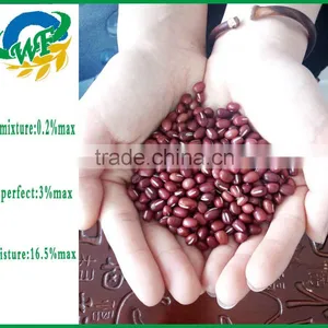 Chinese Adzuki Beans for Europ thumbnail-3