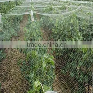 Plastic Anti-Bird Mesh/ Pond Covering Mesh/Anti-Bird Mesh thumbnail-2