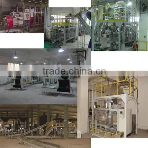 GFCK-G2 Automatic Heavy Bag Granular Packaging Machine Unit thumbnail-3