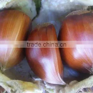 Organic Water Chestnut Best Quality thumbnail-1