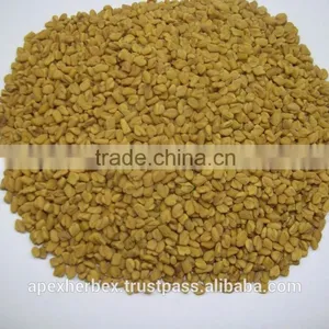 Spices Graecum / Fenugreek Seeds / Methi / Trigonella Foenum-Graecum thumbnail-4