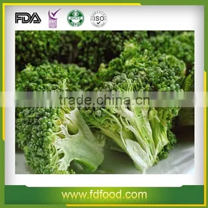 Cheap Price Freeze Dried Fruits and Vegetables Natural Freeze Dried Broccoli thumbnail-5