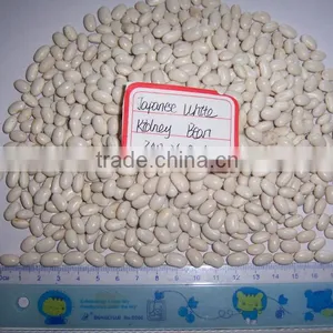 2014 Different Varieties of White Kidney Beans From China With Cheap Price thumbnail-1