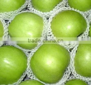 Green Apple thumbnail-1