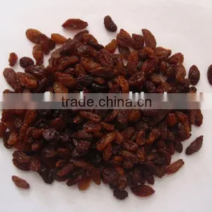 Sultana Raisin Jumbo thumbnail-1