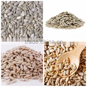 High Quality Sunflower Kernels Chinese Organic Sunflower Kernels thumbnail-4