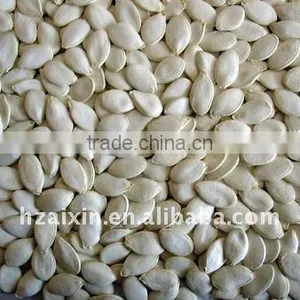 Snow White Pumpkin Seeds in Shell thumbnail-1