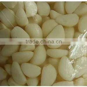 Salted Garlic in Brine thumbnail-1