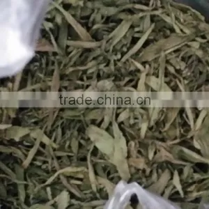 Stevia Extract Pure Powder thumbnail-3