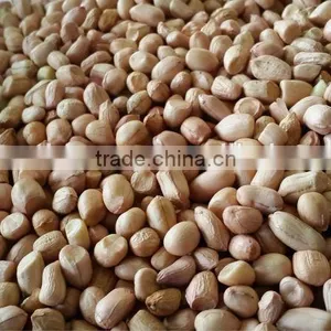 Groundnut Kernels or Peanuts thumbnail-1