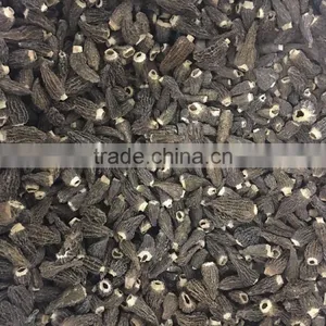 High Quality Dried Morchella Conica Special Grade thumbnail-1