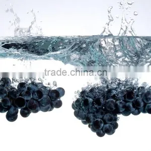 Refined Grape Seed Oil thumbnail-3