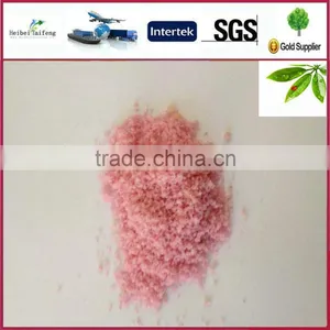 Bargain Waiter Soluble Fertilizer NPK 19-19-19 Compound Fertilizer thumbnail-1